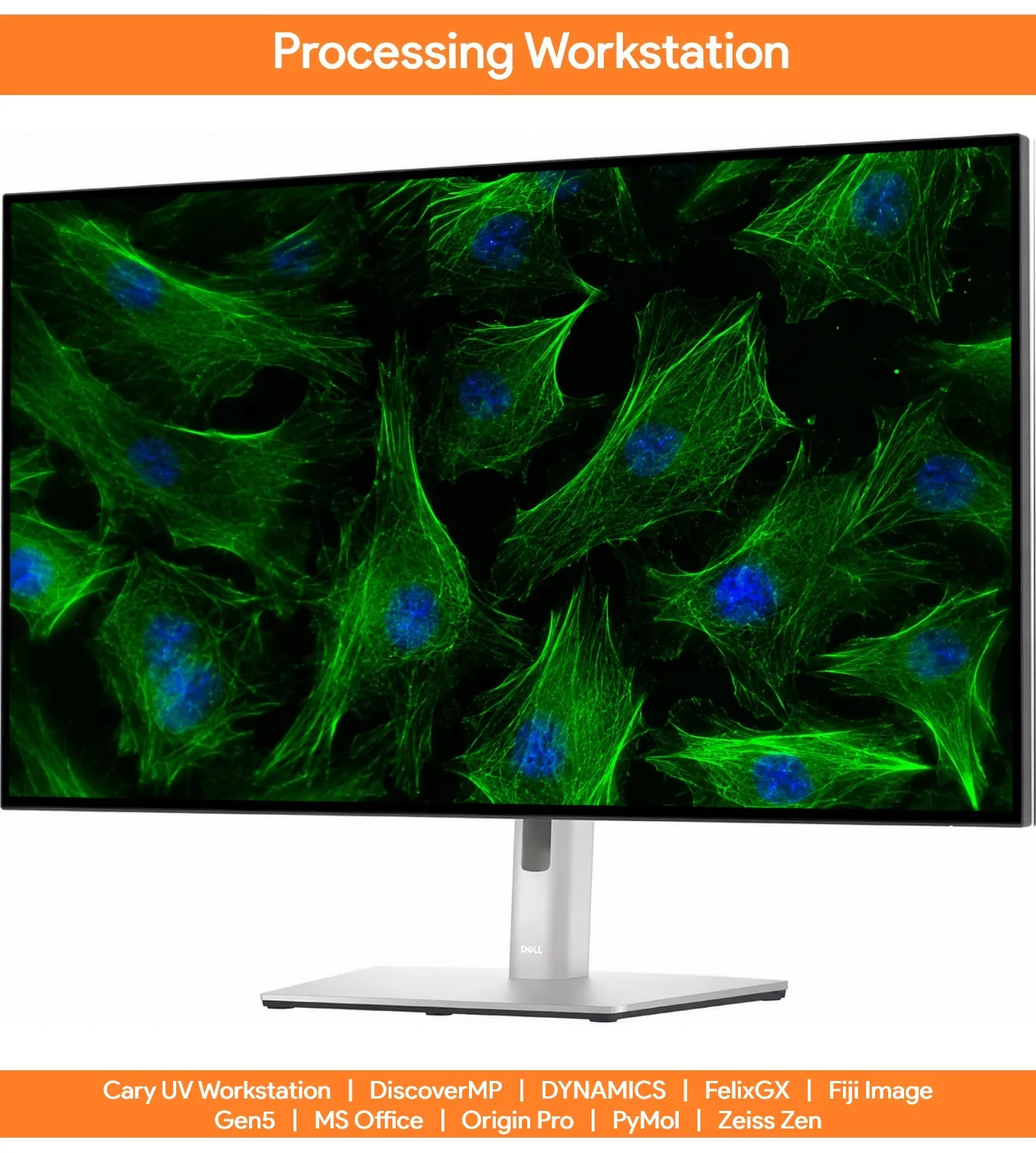 Processing Workstation